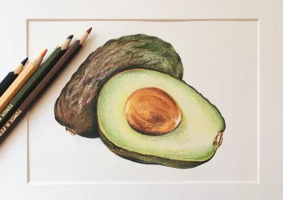 How to draw Among Us Avocado | Drawings Among Us to sketch - YouTube