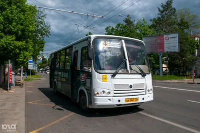 Аренда автобуса в Москве. Арендовать автобус с водителем недорого.