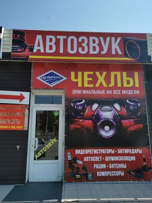 Колонки автомобильные 25 см динамики среднечастотные DL Audio Gryphon Pro  250 автозвук - купить по выгодной цене в интернет-магазине OZON, гарантия  24 месяца (472224785)