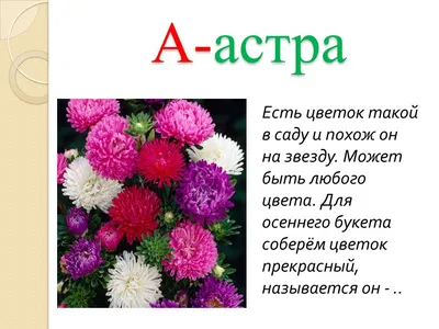 Плакат Арт Стенды Минимализм купить по выгодной цене в интернет-магазине  OZON (844537387)