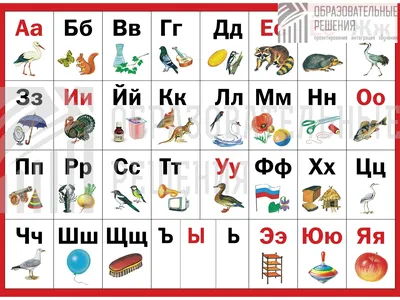 Таблица \"Азбука в картинках\" для школ | купить в магазине Образовательные  решения