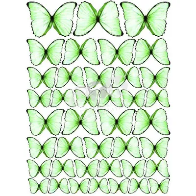 Картинка для торта \"Бабочки\" - PT2248 - пищевая печать на торте, сахарной,  вафельной бумаге | Printort.uz