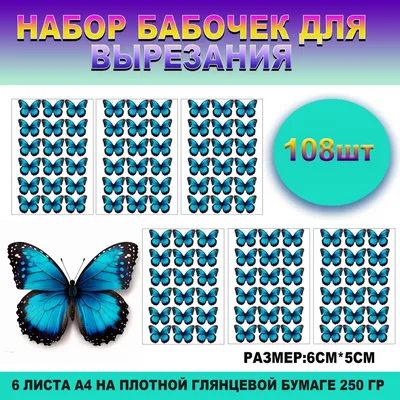 В Европе на 36% сократилась популяция 17 видов бабочек ⋆ НИА \"Экология\" ⋆