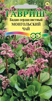 Бадан сердцелистный (Bergenia cordifolia) (ID#178634920), цена: 5 руб.,  купить на Deal.by