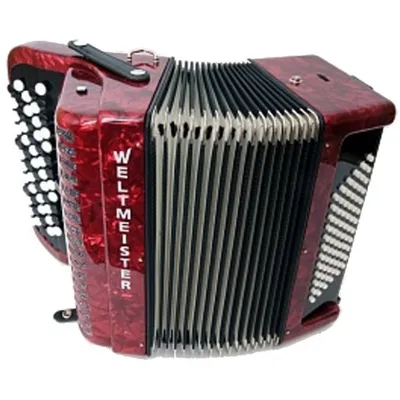 ROLAND FR-1XB Black - Компактный и легкий баян V-Accordion с большими  возможностями купить в магазине для музыкантов Рок-н-Ролл