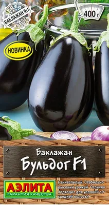 Как я выращиваю баклажаны без рассады в открытом грунте. Выбор места,  посев, уход. Фото — Ботаничка