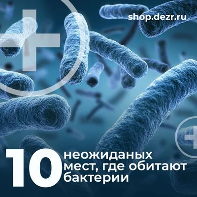 Создан уникальный материал, убивающий опасные бактерии за 30 секунд -  Российская газета