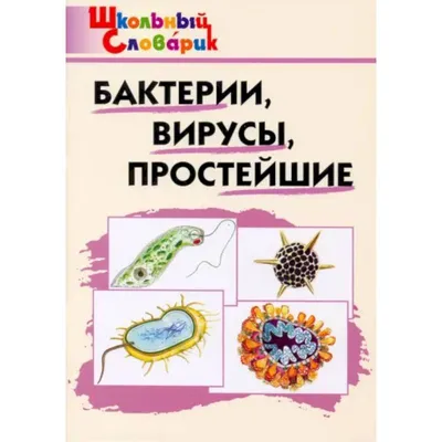 Файл 3D Анатомия клетки прокариотической бактерии 🎒・Модель для печати в 3D  скачать・Cults