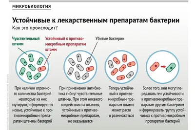 микробы бактерии иллюстрации ai скачать бесплатно бесплатно вектор бактерий  - Urbanbrush