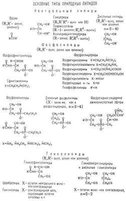 Балерина». Фотоотчёт о творчестве по аппликации детей старшей группы (7  фото). Воспитателям детских садов, школьным учителям и педагогам - Маам.ру