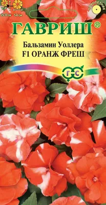 Бальзамин садовый купить по цене 0,00 руб. руб. в Москве в садовом центре  Южный