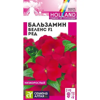 Бальзамин Уоллера ампельный (Impatiens walleriana)