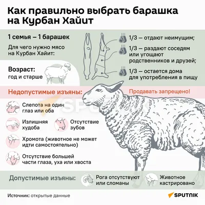 Иллюстрация Пасхальный барашек в стиле 2d, детский, компьютерная