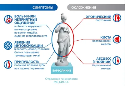 Марсупиализация кисты бартолиновой железы: цены в Москве | АльтраВита