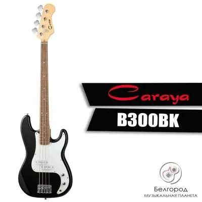 Купить Бас-гитара IBANEZ TMB100-BK TALMAN BASS BLACK по цене 35 000 руб. на  официальном сайте представителя Ibanez в Москве и России