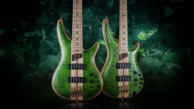 Купить Бас-гитара ROCKDALE Stars PB Bass Black по цене 15 600 руб. на  официальном сайте представителя Rockdale в Москве и России