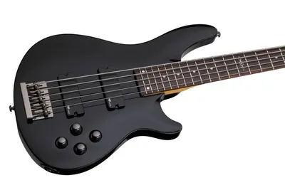 Купить БАС-ГИТАРА SCHECTER C-5 SGR BASS BLK с бесплатной доставкой по  Москве и России в интернет – магазине Pop-music.ru