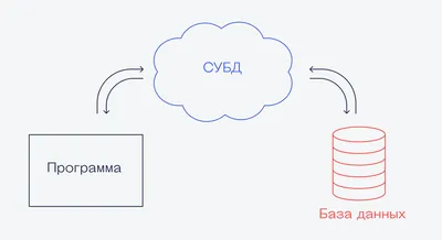 Электронная регистратура: как в медицине создают общую базу данных |  Инструменты на РБК+