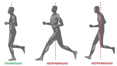 Жара и бег: как добиться результатов и не навредить себе? | Спорт Світ