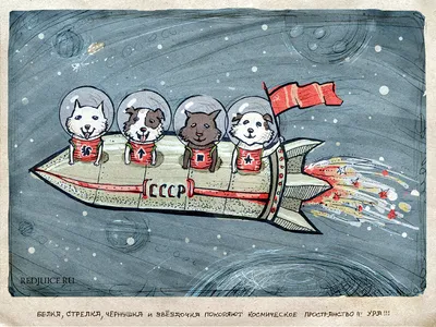 Belka and Strelka - Wiki | Golden