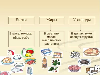 Купить Стенд Белки, жиры, углеводы, витамины и минеральные вещества в  бежевых тонах 900*900 мм 📄 с доставкой по Беларуси | интернет-магазин  СтендыИнфо.РФ