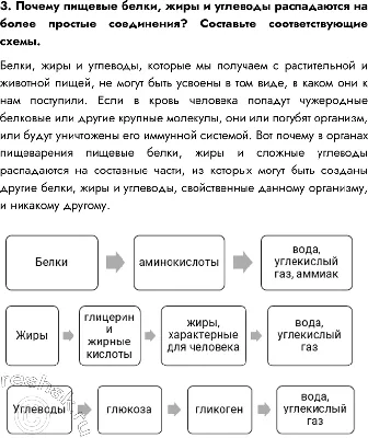 Стенд \"Витамины, Жиры, белки, углеводы, минеральные вещества\" СТШ 00003 -  Магазин стендов и наглядных пособий для обучения