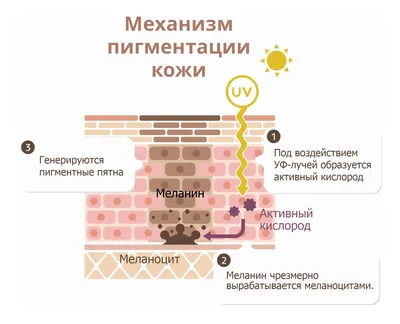 Комплексное лечение Витилиго (3 месяца)- Цена, Отзывы- МЦ Альтернатива