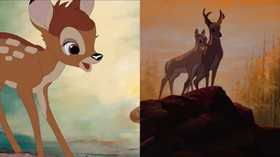 Disney: Bambi Buch von Walt Disney versandkostenfrei bei Weltbild.de