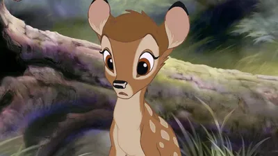 Disney-Realverfilmung Bambi: So soll die Story zeitgemäß angepasst werden