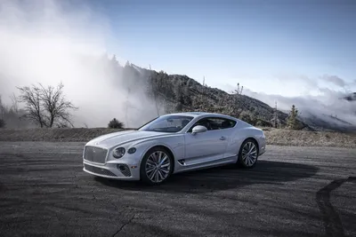 Bentley Continental GT Speed: Das kann der neue Super-Bentley! - AUTO BILD