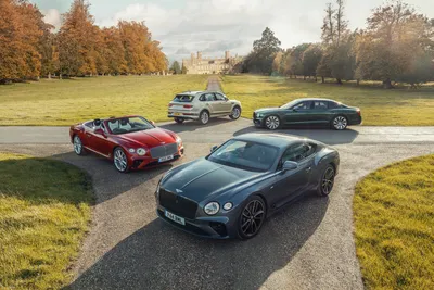 Luxus aus England: Die spannendsten Bentley-Modelle | AMEXcited