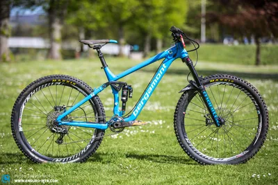 Bergamont E-Trailster Pro | The Bike Works