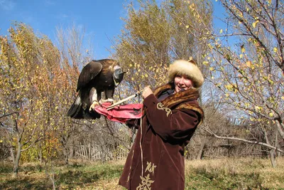 Беркут с добычей — Фото №1447501