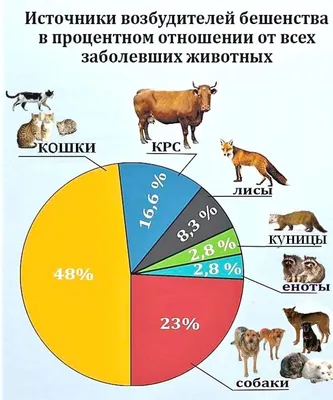 ГУЗ Липецкая городская детская больница | Профилактика и здоровый образ  жизни