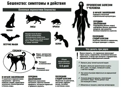 Бешенство у детей