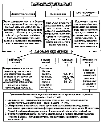 В Атырау участились случаи нападения собак на детей