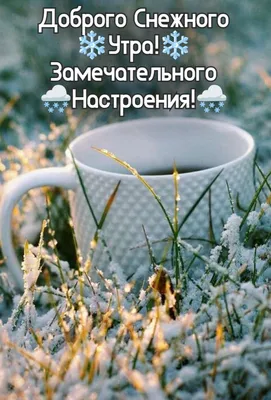 С добрым утром!#видеооткрытка #открыткасдобрымутром#открытка #рекоменд... |  TikTok