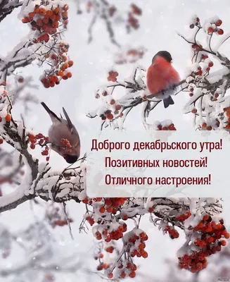 С добрым утром!#видеооткрытка #открыткасдобрымутром#открытка #рекоменд... |  TikTok