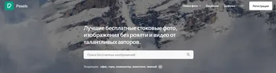 Скачать Бесплатно — стоковые фотографии и другие картинки Без людей - Без  людей, Белый фон, Горизонтальный - iStock