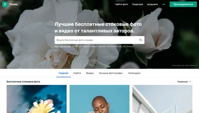 Лучшие бесплатные фотостоки и сайты с картинками | Canva