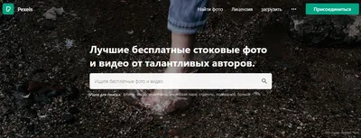 🖼 Бесплатные фотостоки без регистрации для коммерческого использования —  Блог LiveDUNE