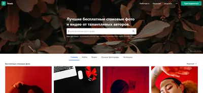 Сайт Vecteezy - «Vecteezy - неплохой фотосток с большим количеством  бесплатных фото!» | отзывы