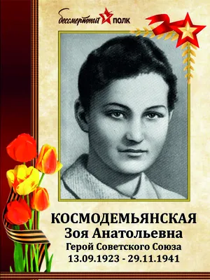 Бессмертный полк» в традиционном формате пройдет в Подмосковье 9 мая - В  регионе - РИАМО в Мытищах