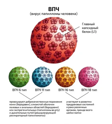 Удаление папиллом в Москве: цена процедуры | Записаться на лазерное  удаление папиллом и кондилом в клинике