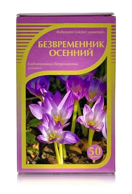 Безвременник Полезно и интересно знать Интернет-магазин «Пролисок» -  садовые растения почтой