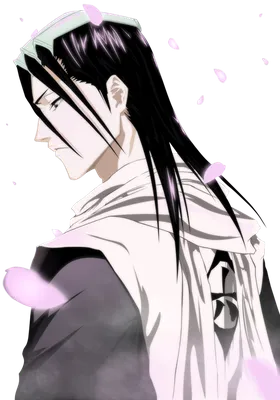 Kuchiki Byakuya | Bleach anime, Bleach manga, Bleach characters