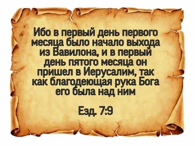 Купить Библия Православная. Книги Ветхого и Нового Заветов недорого в  Москве | Купить православные книги, литературу, акафисты, каноны, Библию и  молитвословы в интернет магазине \"Православный\"