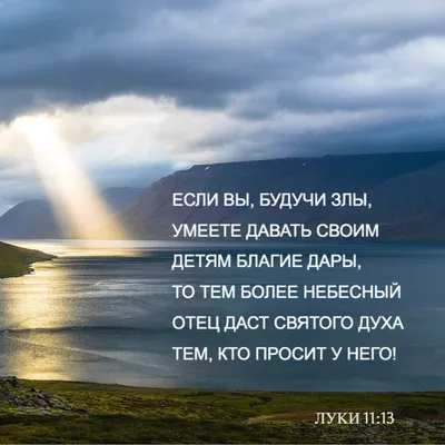 Молодежная Библия на русском языке, в твердый переплет среднего размера,  каноническая. высокого качества недорого в интернет-магазине \"SKYSHOP\"