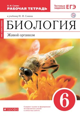 Тетрадь предметная 48 листов. \"Котоцинизм\", Биология, клетка – купить в  интернет-магазине, цена, заказ online