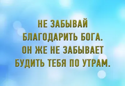 Стихотворение «\"Благодарность Богу\" », поэт Саламандра